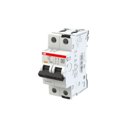Ảnh của 2CDS382001R0064 - Cầu Dao Tự Động 2P 6A 25KA (S302P-C6)