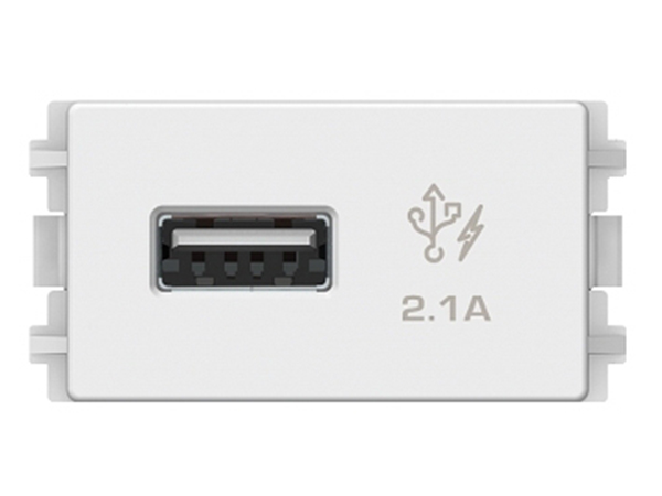 Ảnh của 8431USB_WE - Hạt Ổ Cắm USB 1 Port 2.1A Màu Trắng