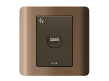 Ảnh của E8431USB_SZ_G19 - Bộ Ổ Cắm USB 1 Port 2.1A Size 87x87mm Màu Đồng
