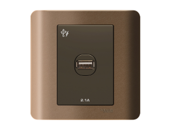 Ảnh của E8431USB_SZ_G19 - Bộ Ổ Cắm USB 1 Port 2.1A Size 87x87mm Màu Đồng