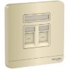 Ảnh của E8332RJS5_WG_G19 - Bộ Ổ Cắm Mạng Cat5e Đôi Màu Vàng Kim